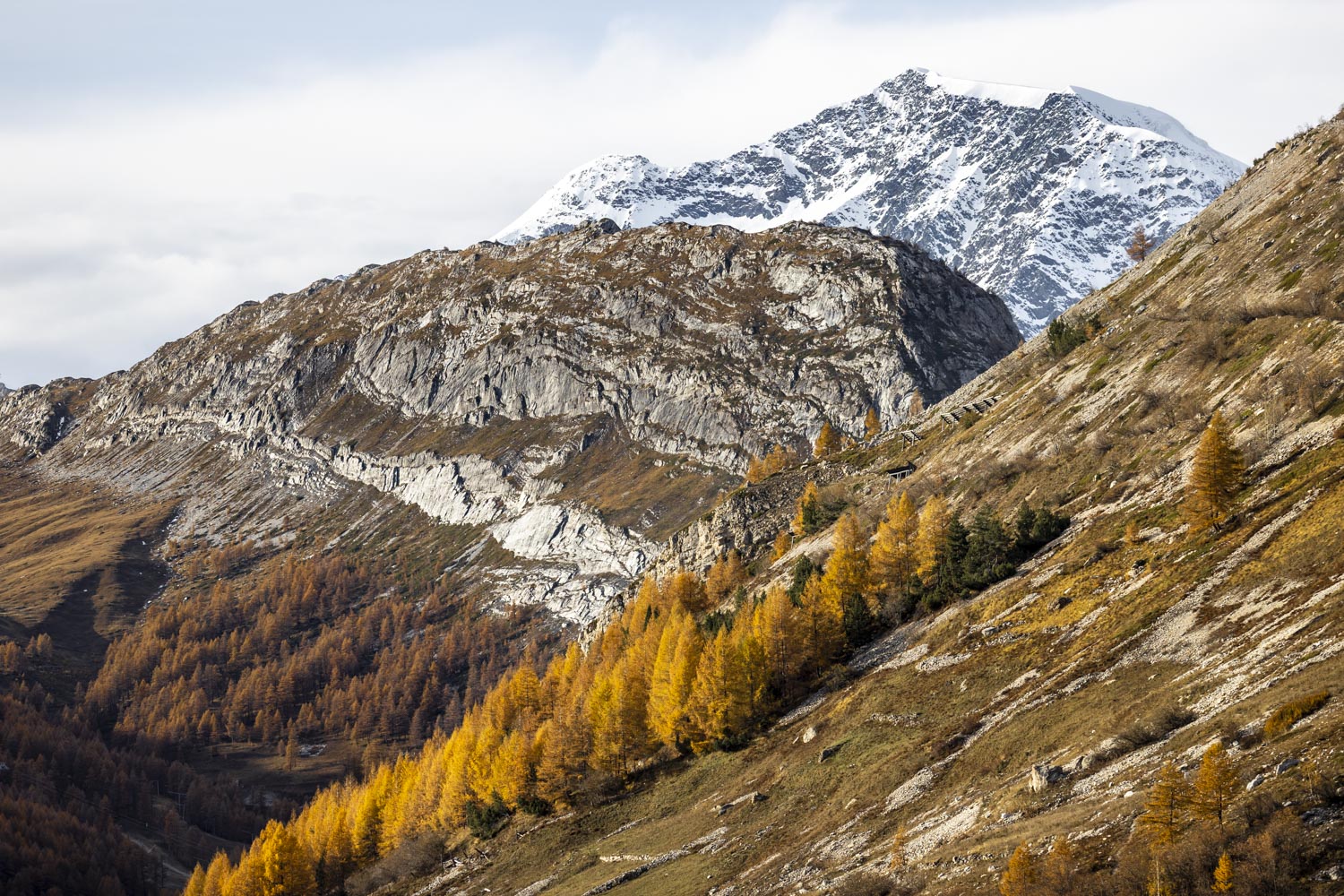 Couleurs d'automne - Dome de la Sache - Mont Pourri - Photo de Val d'Isère