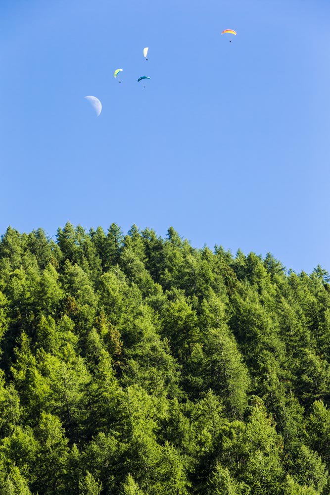 Parapentes - Lune - Fôret de Solaise - Mélèze - Photo de Val d'Isère