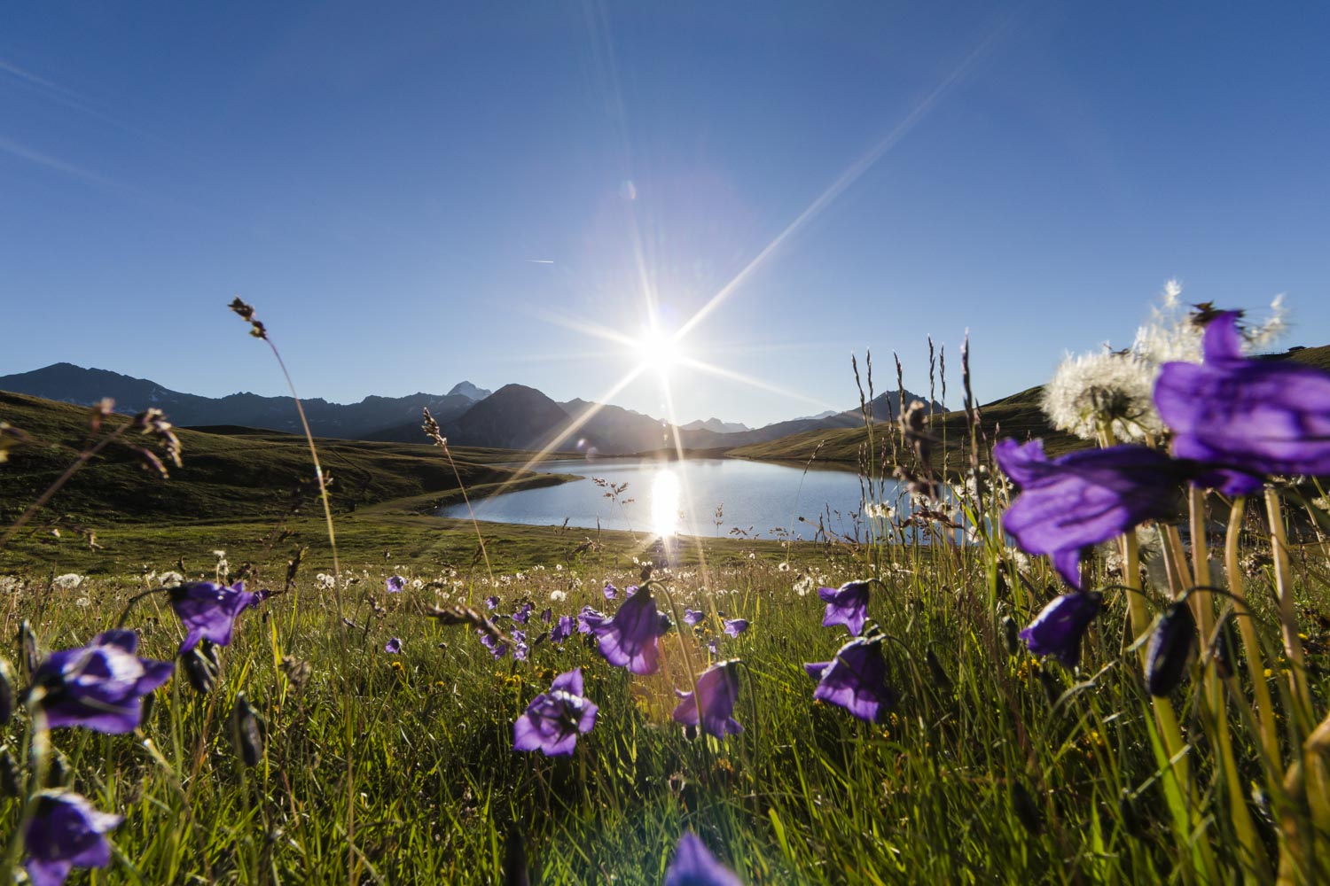 Couché de Soleil sur le Lac de l'Ouillette - Fleurs - Solaise - Photo de Val d'Isère