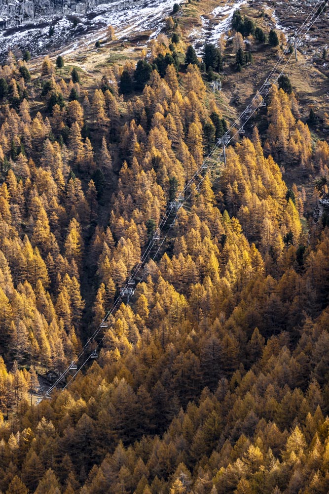 Laisinant Chairlift - Fall Colors - Larch Trees - Val d'Isère