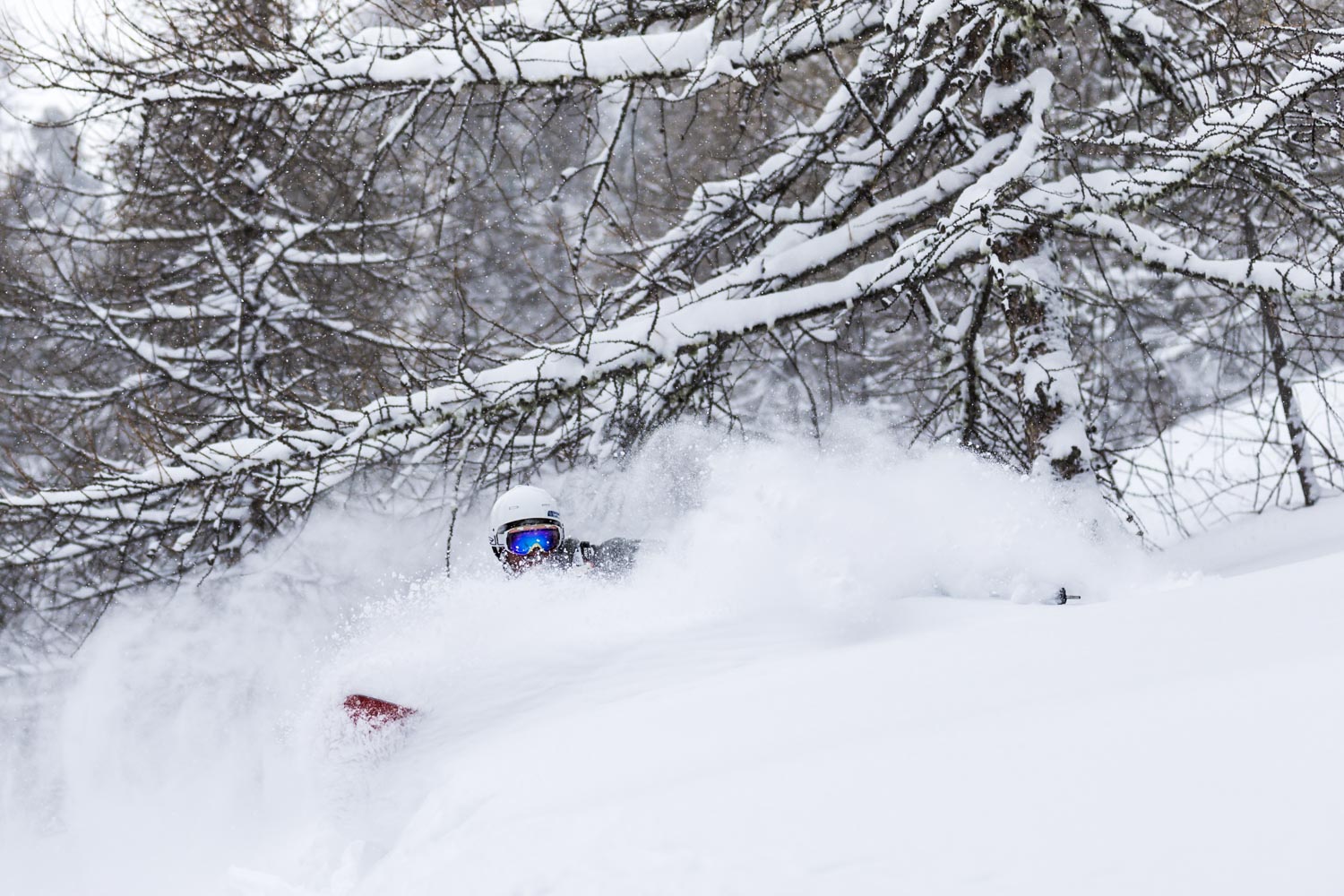 Cyril Trebuchet - Ski - Solaise Trees - Val d'Isère - Fresh Snow - Face Shot