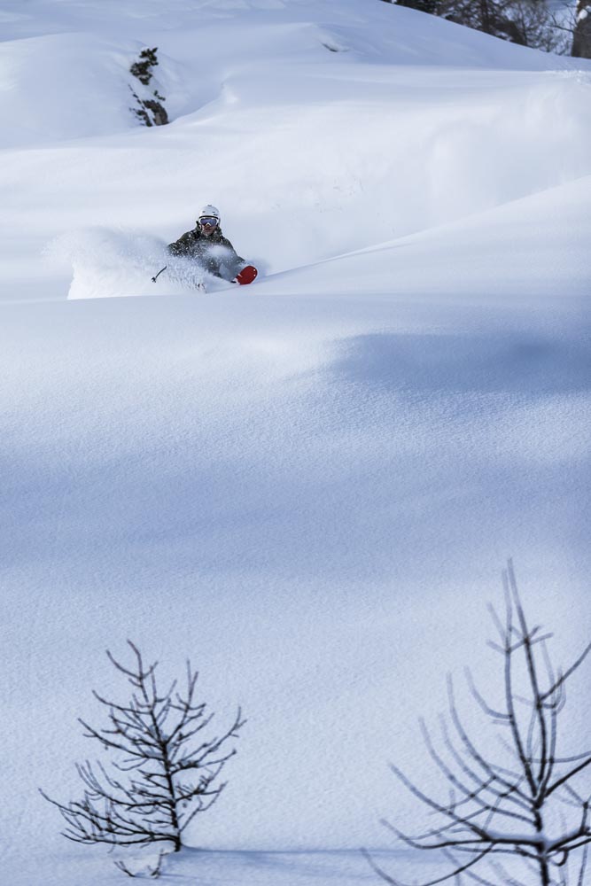 Cyril Trebuchet - Ski - Fôret de la Daille - Val d'Isère - Neige Fraîche - Face Shot - Ski